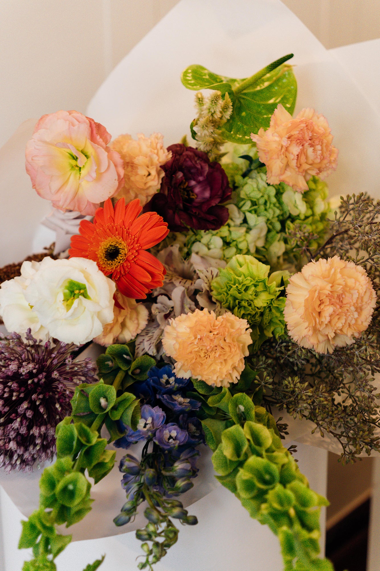 Pura Gracia - Medium