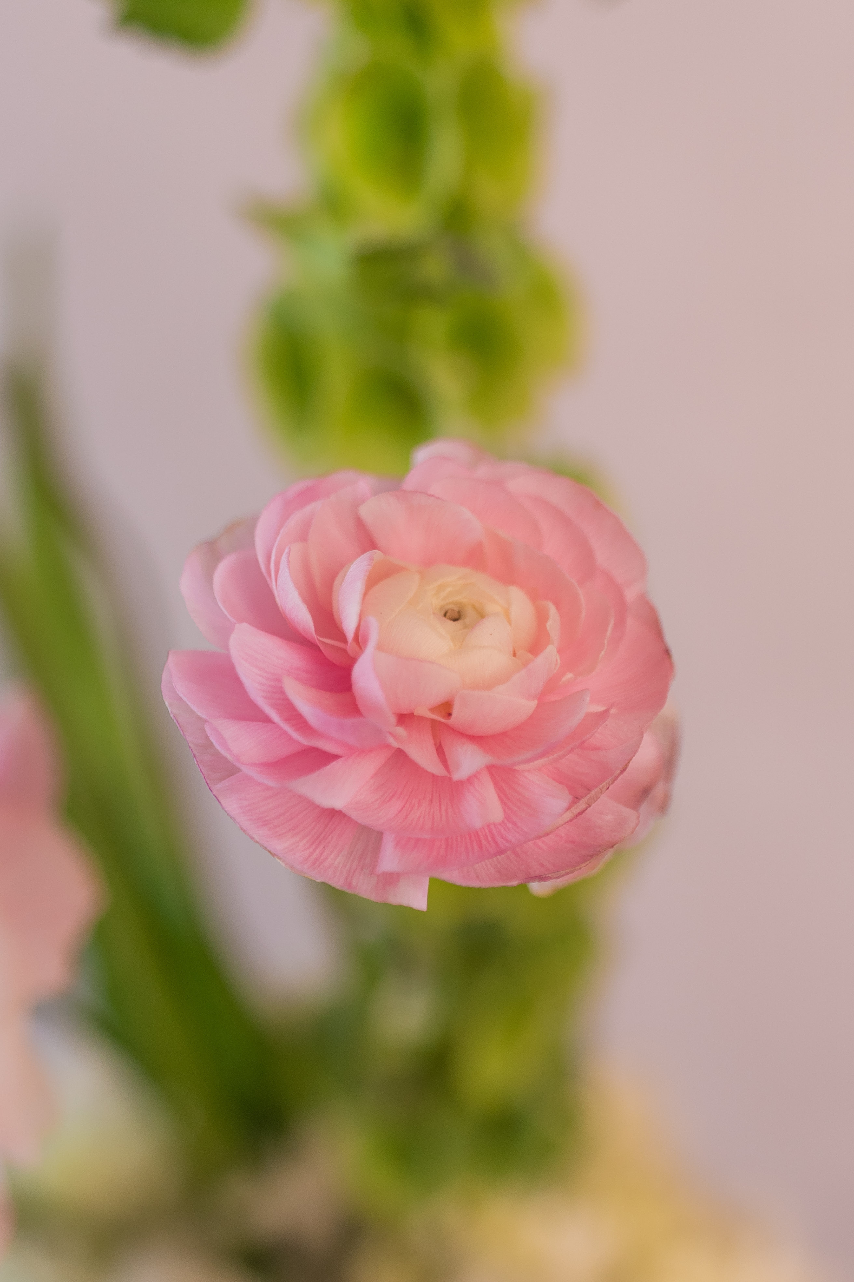Florero Coincidir