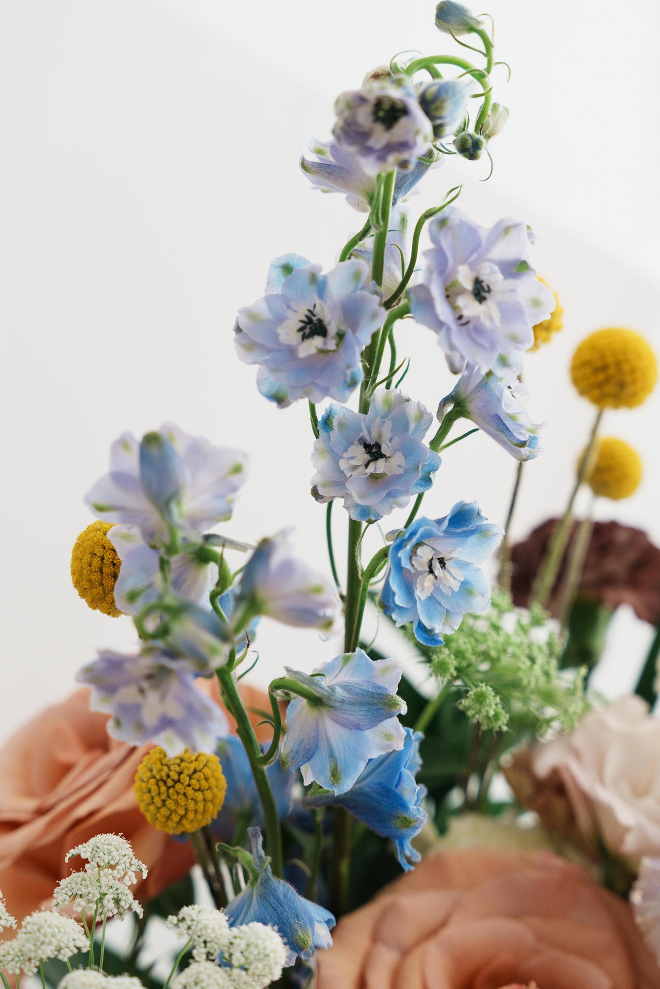 Full of Bloom - Large