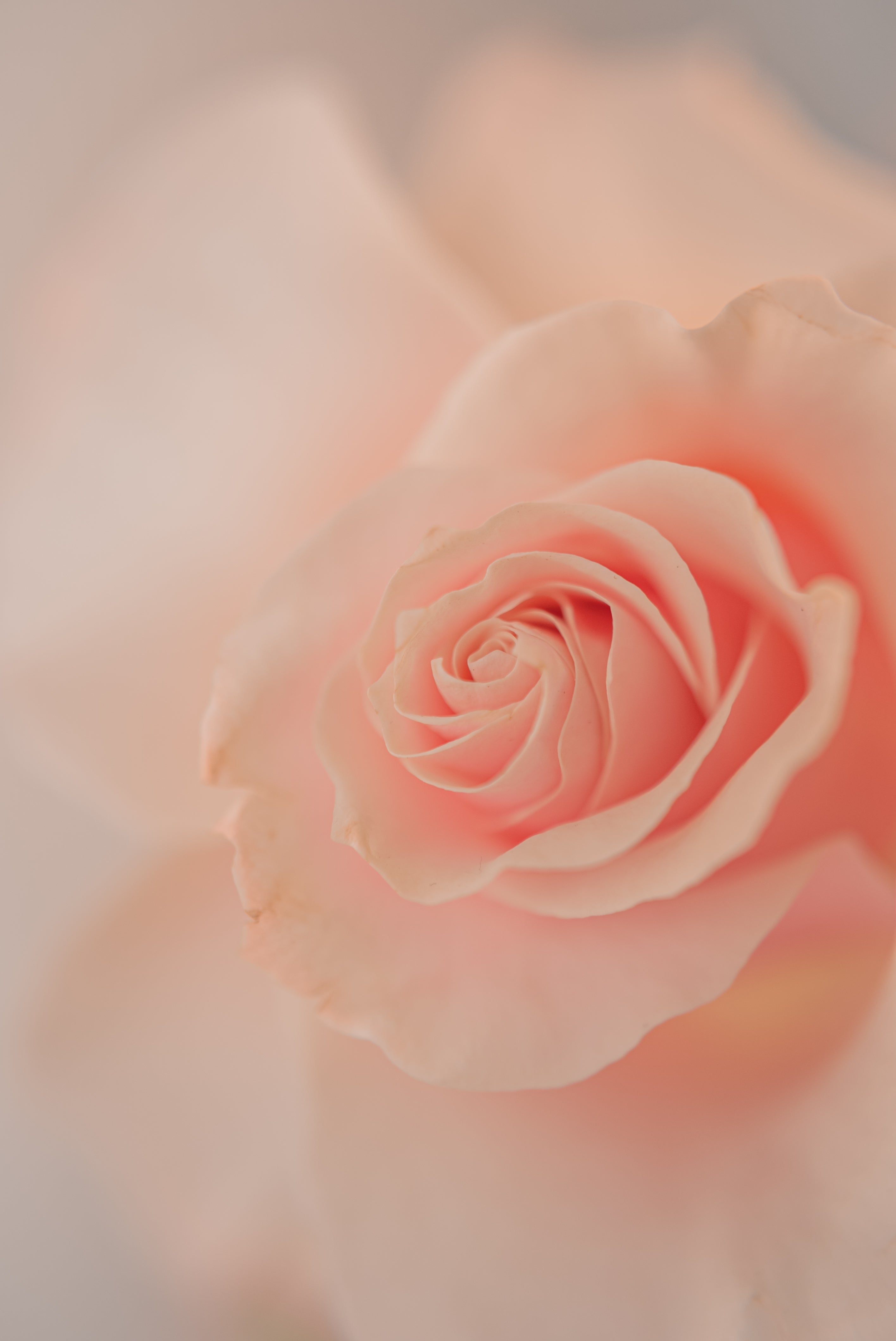 Set: Giftcard Beauty x Amavia - Beauty Studio