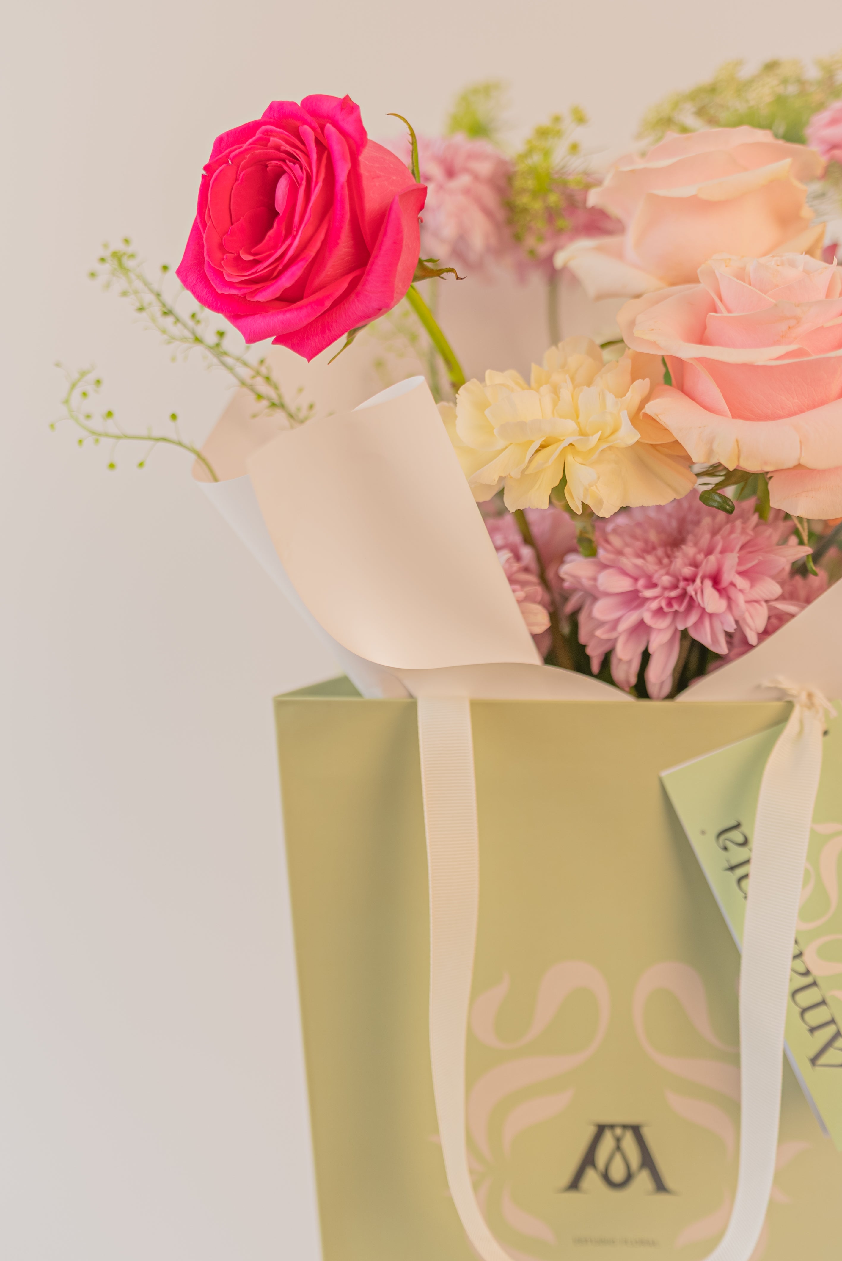 Set: Giftcard Beauty x Amavia - Beauty Studio