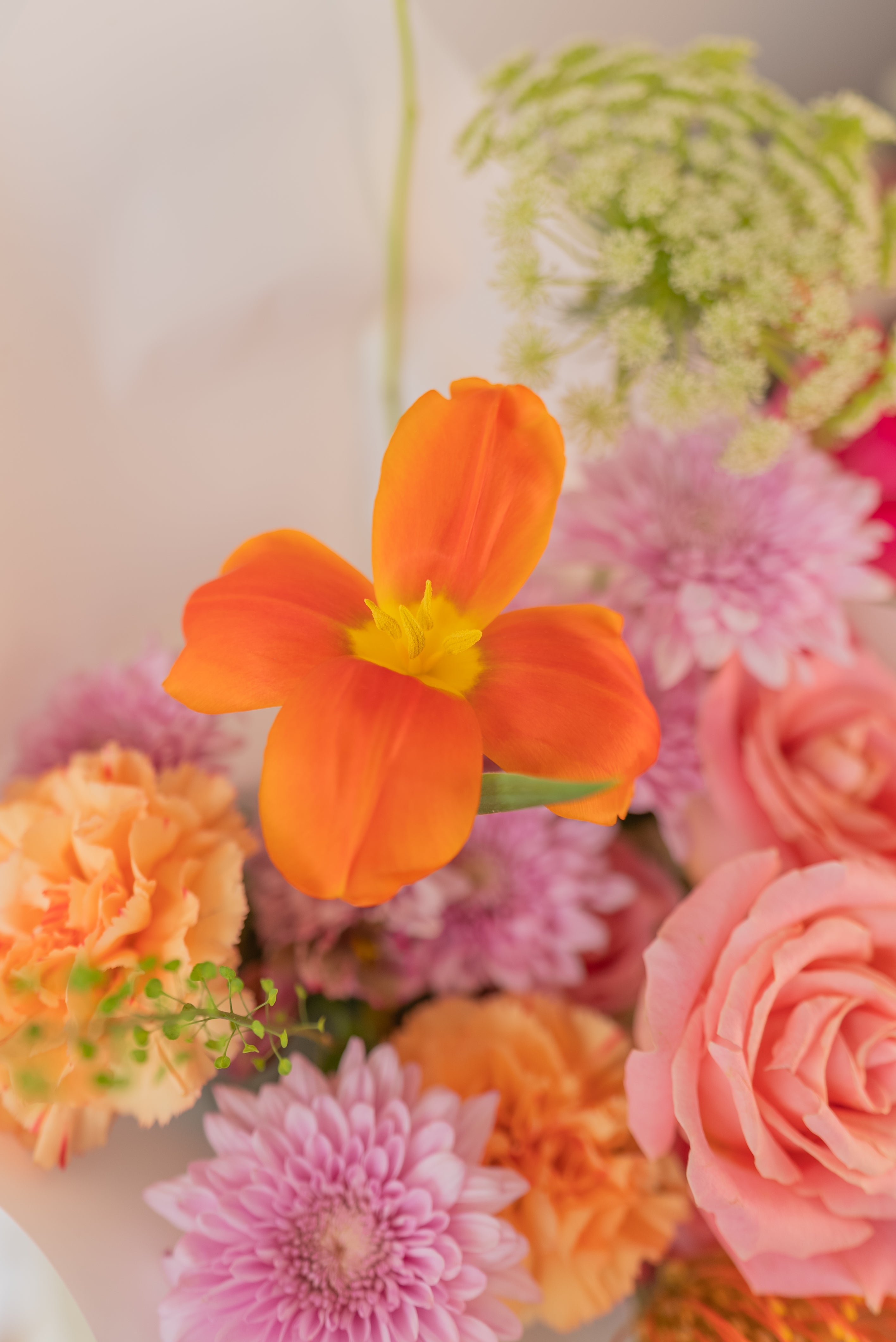 Bouquet medium - Jardín Vivo