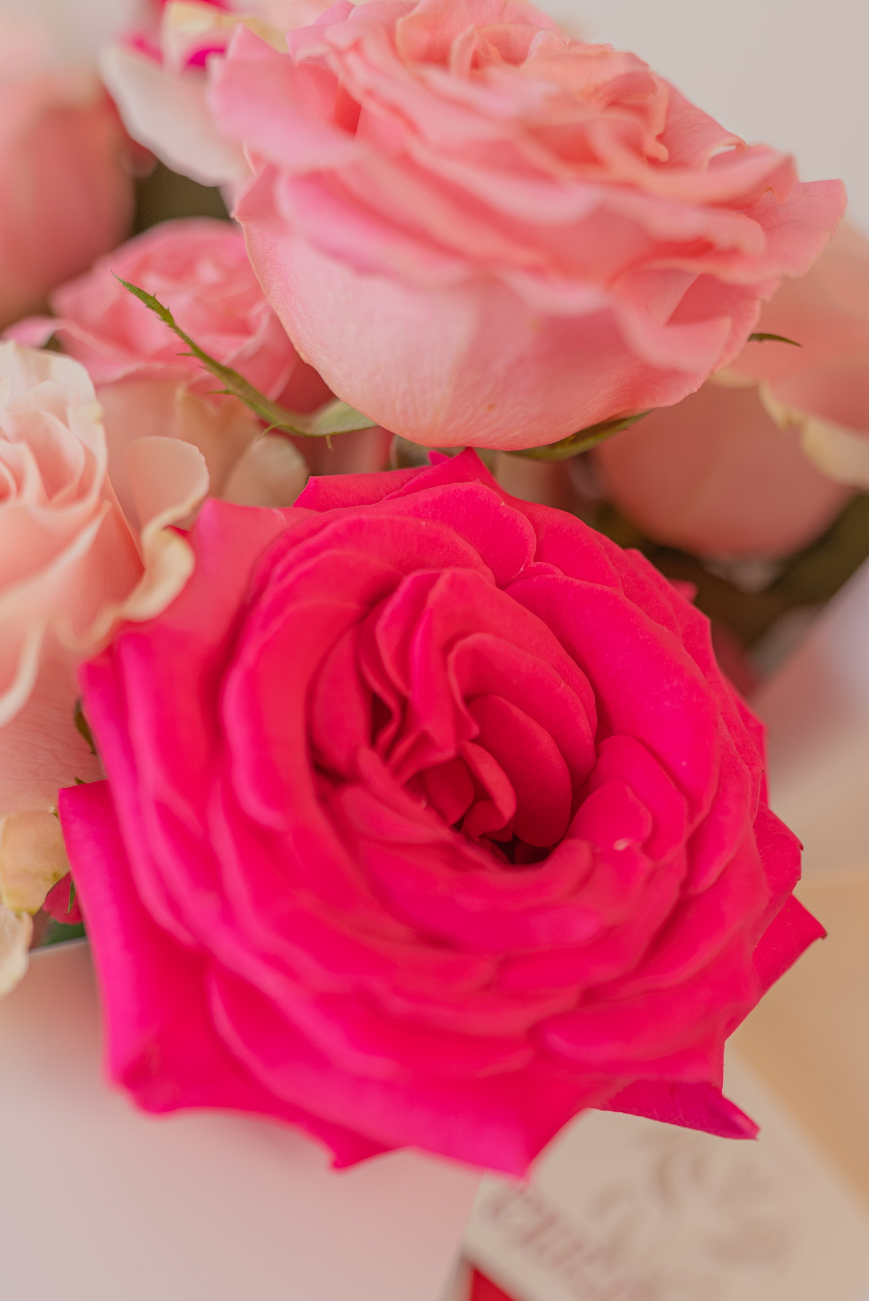 Bouquet medium - Rosas para mamá