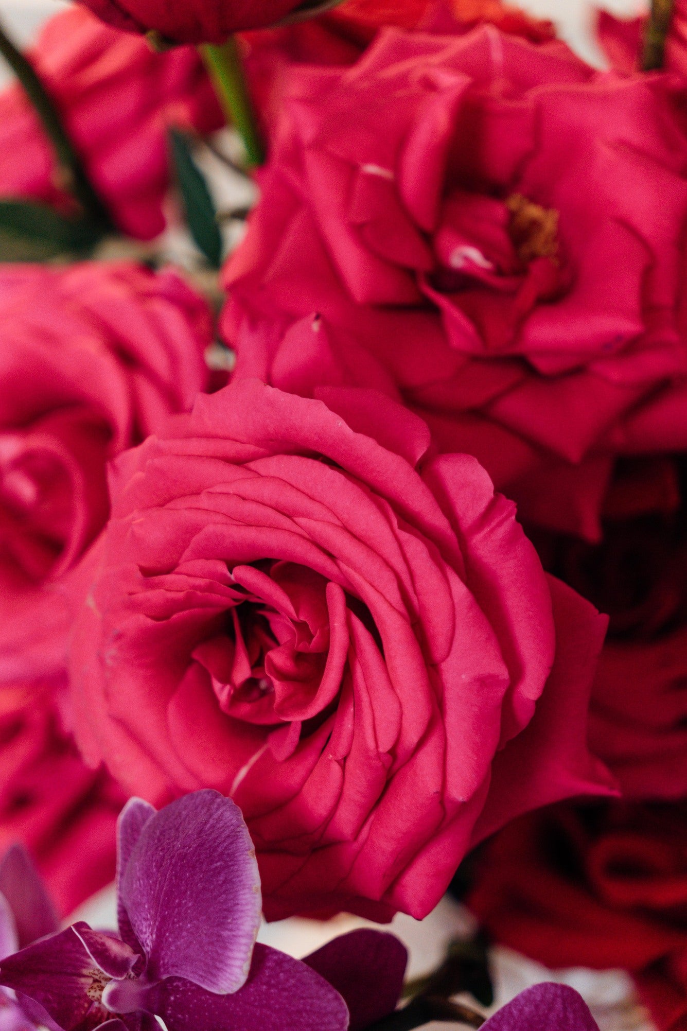 Modern Love - Medium (Sin orquídea)