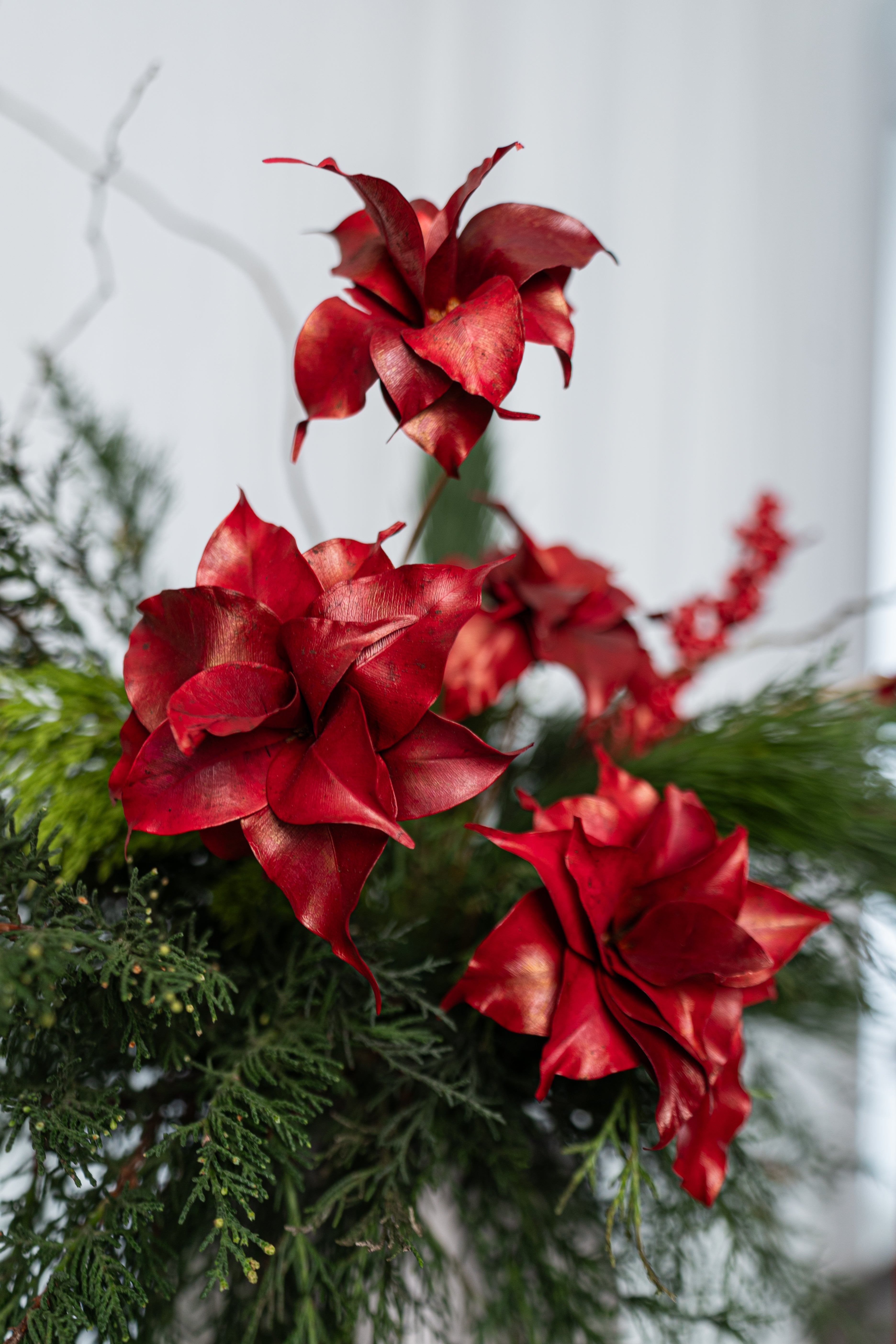 Arreglo navidad mágica