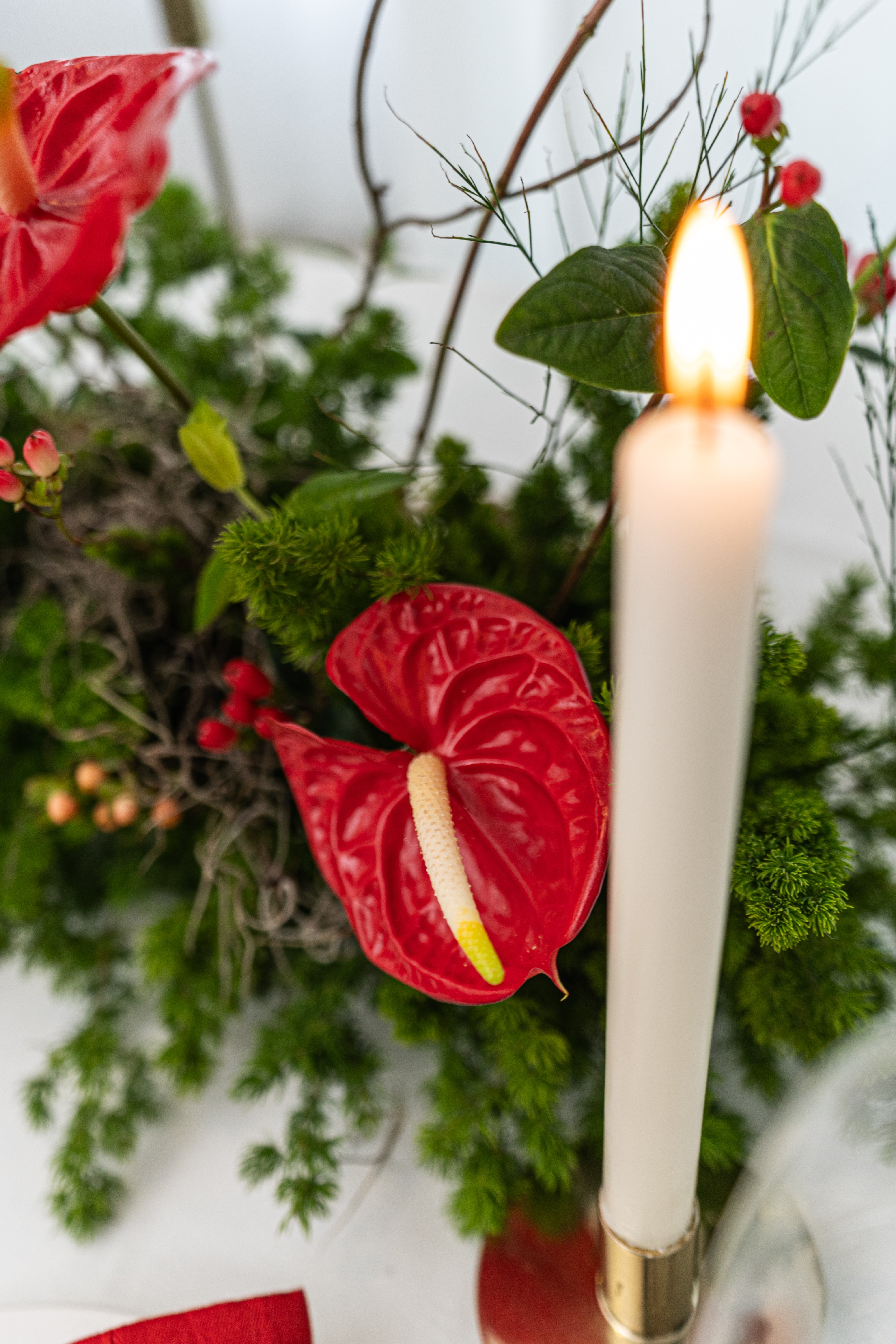 Arreglo Jardín de navidad - Medium