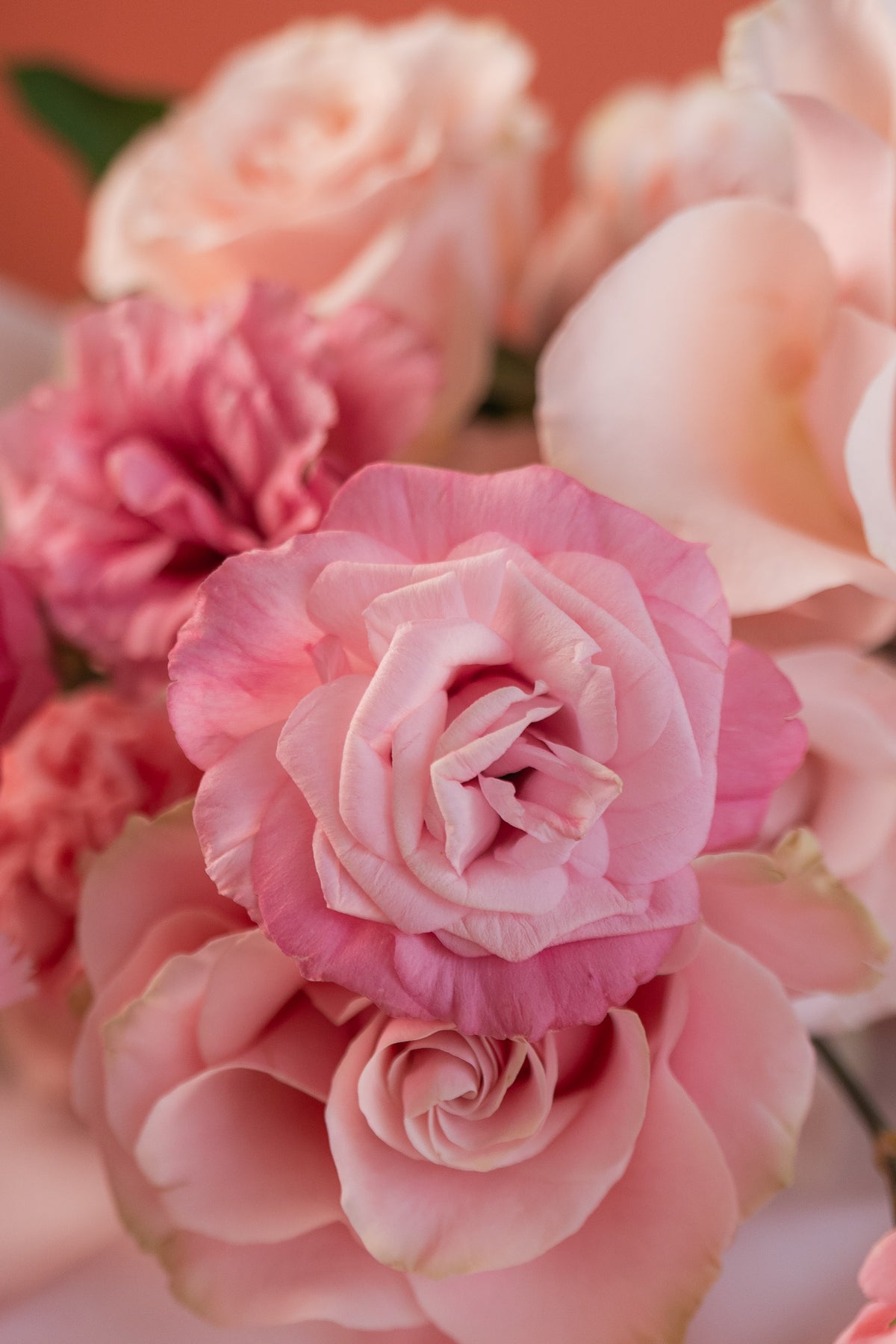 Love in pink - medium