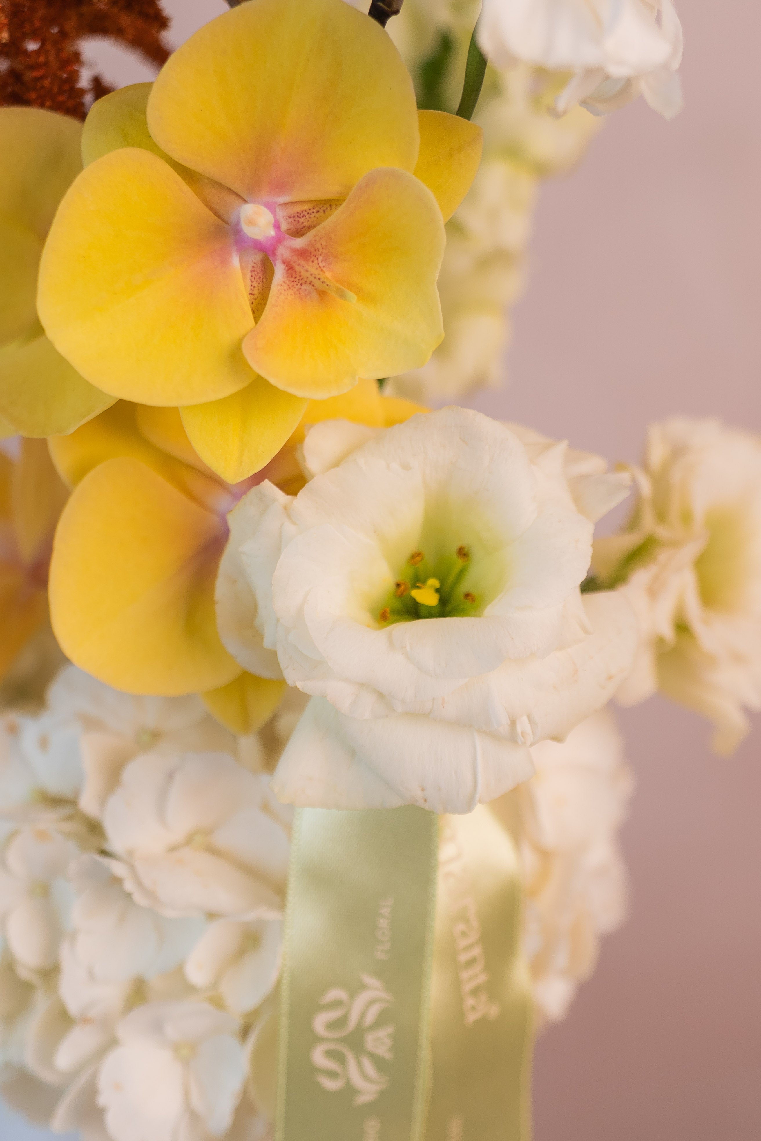 Florero La Primavera