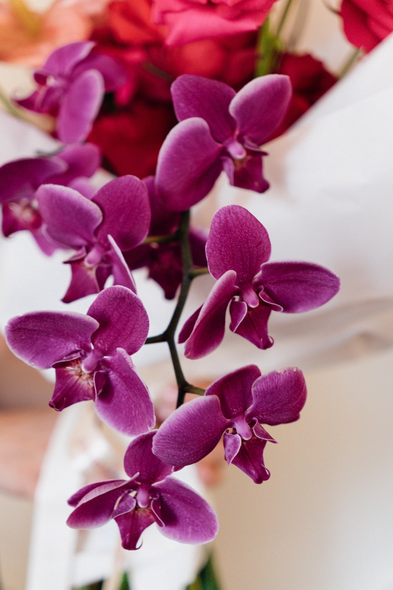 Modern Love - Medium