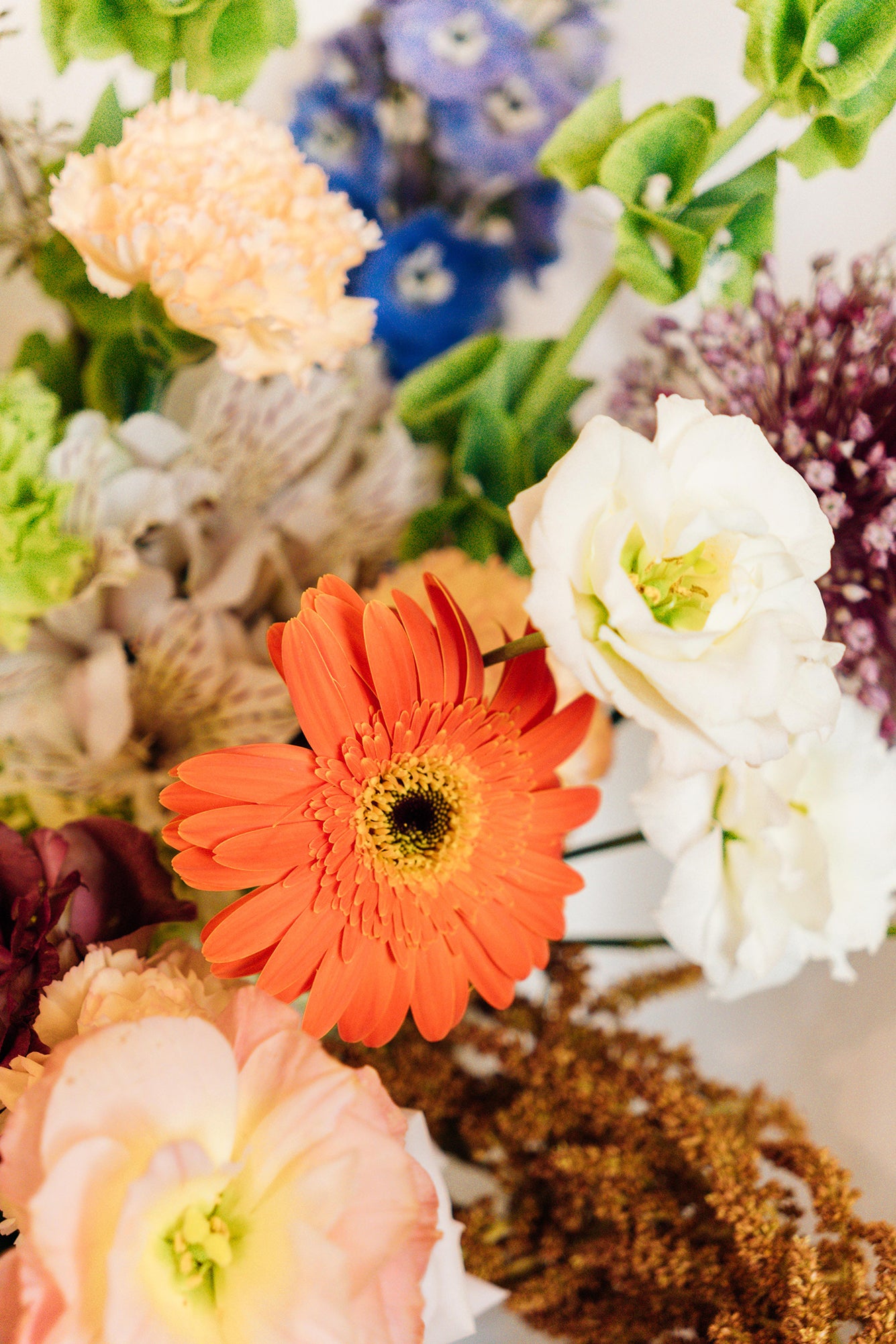 Pura Gracia - Medium