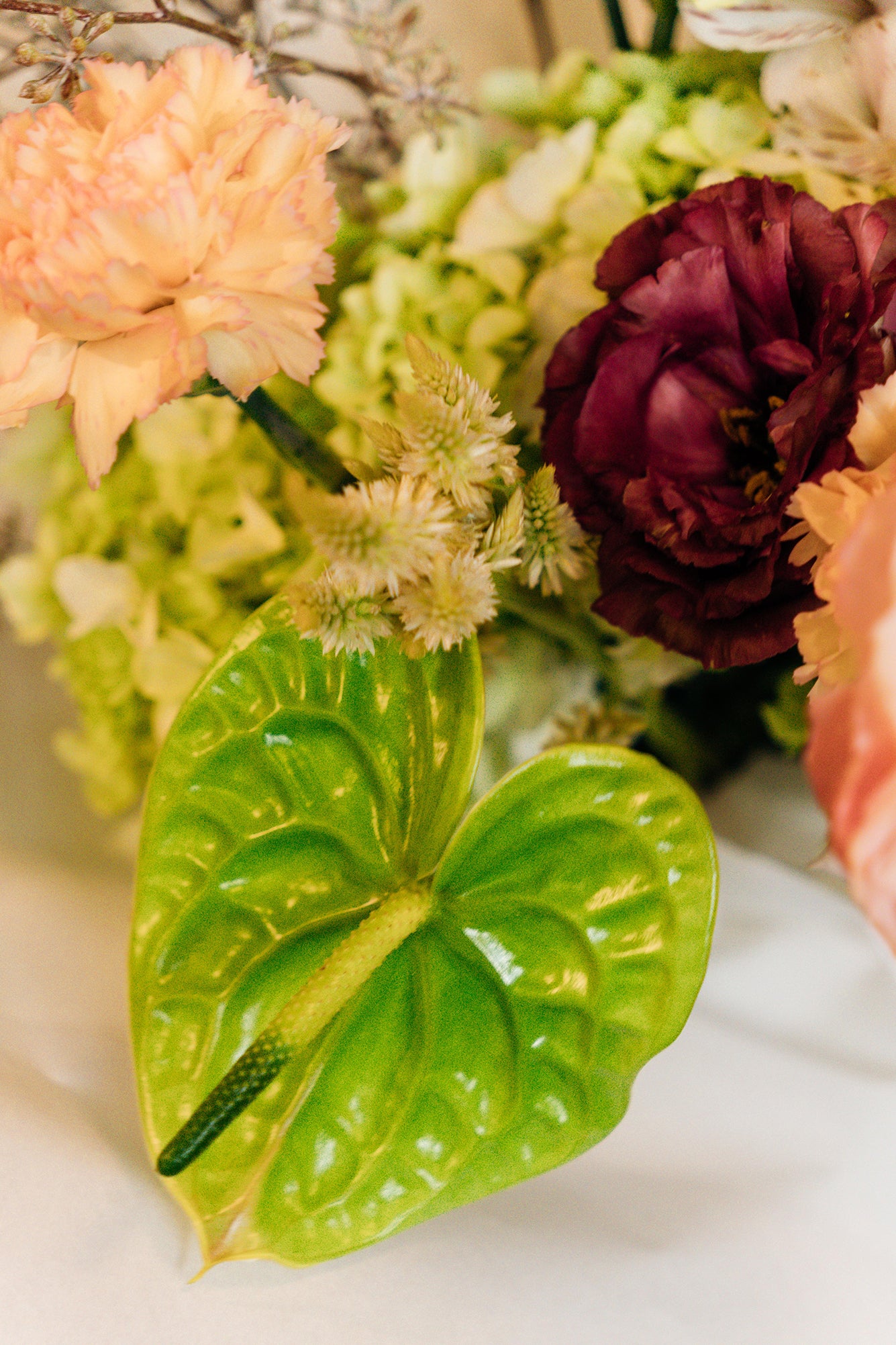 Pura Gracia - Medium