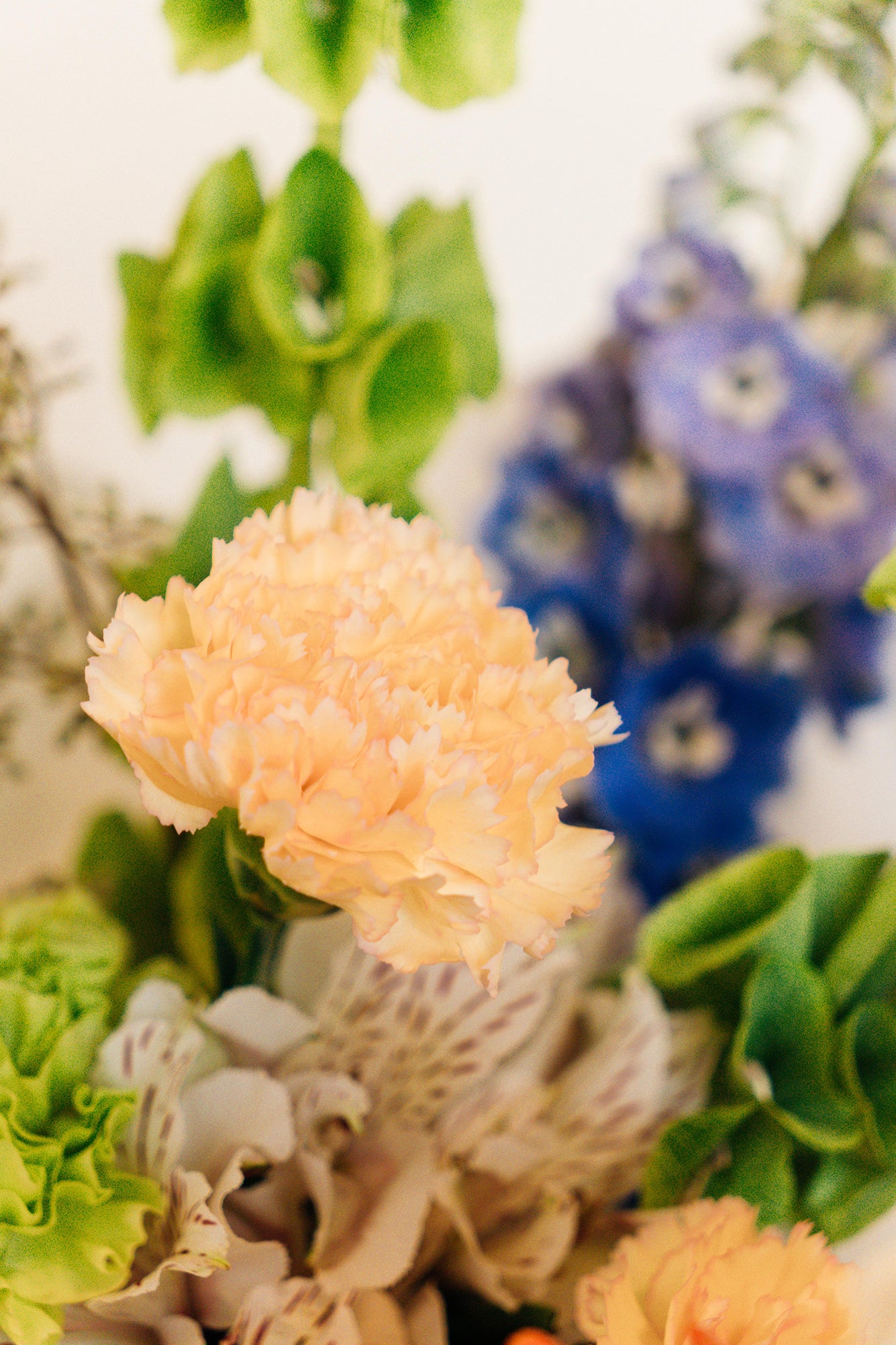 Pura Gracia - Medium