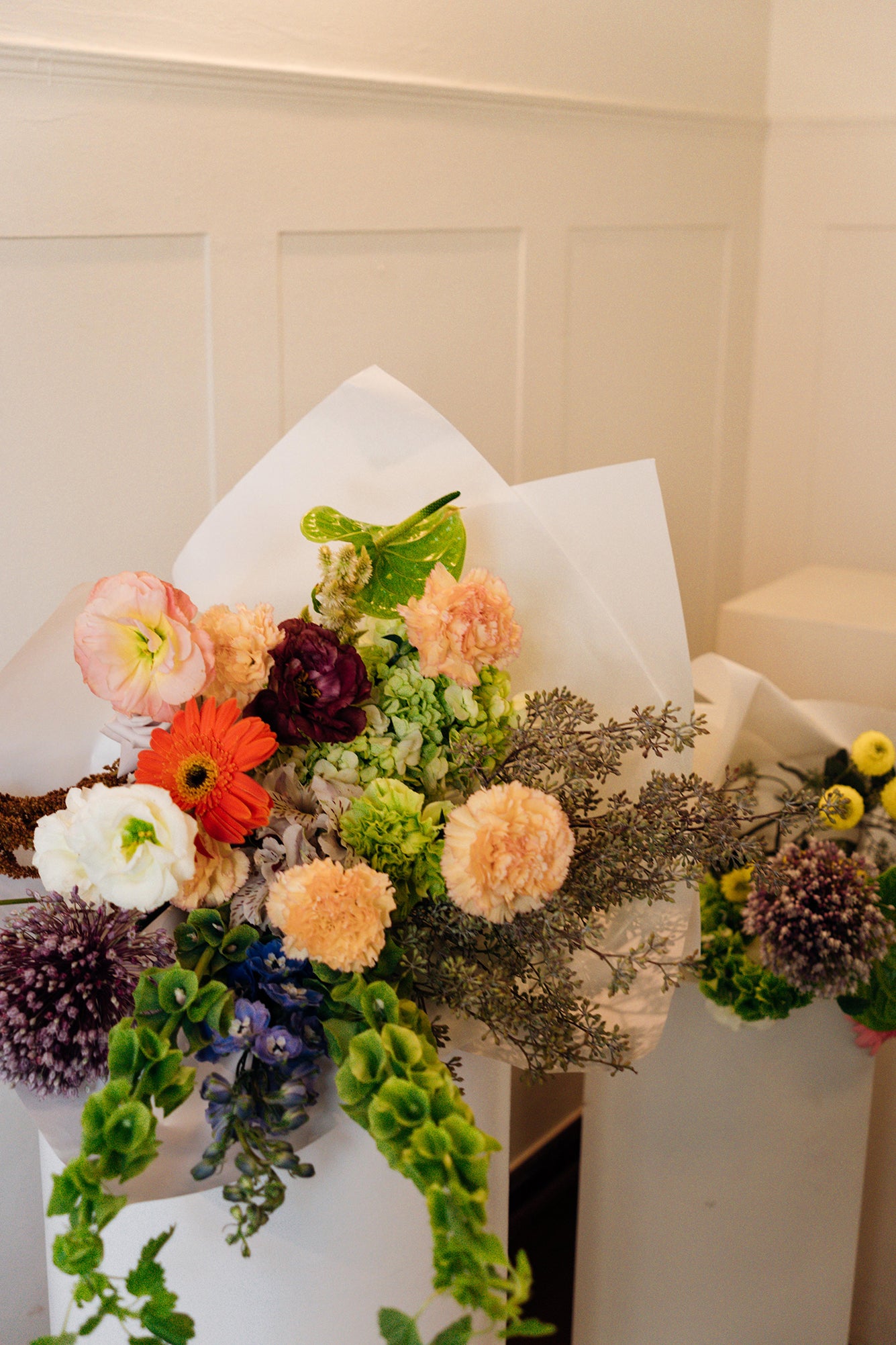 Pura Gracia - Medium