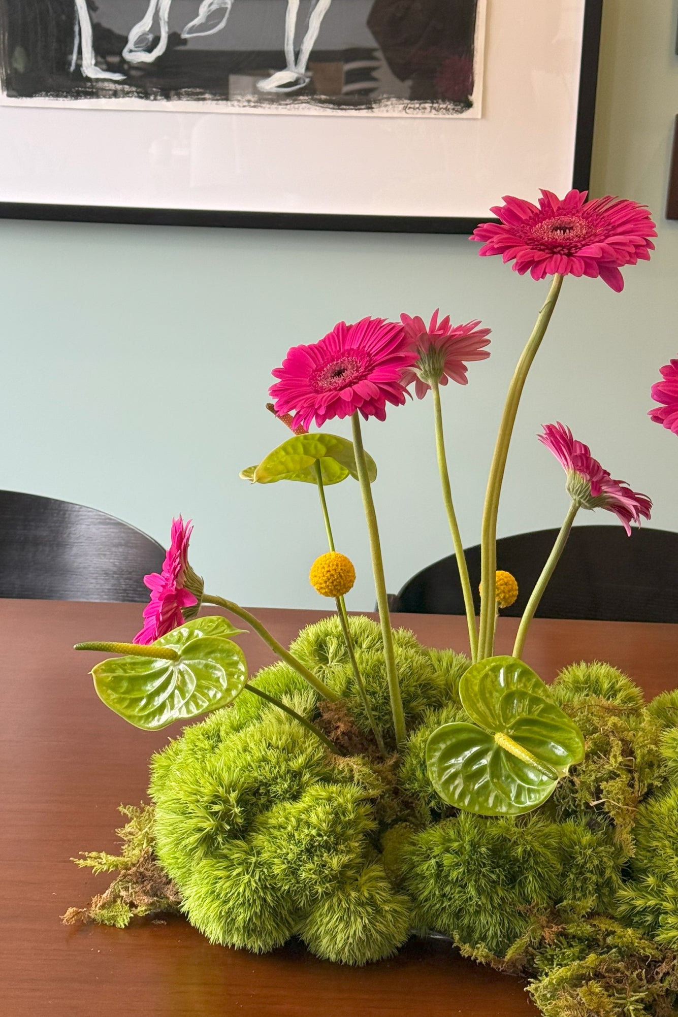 El jardín de gerberas