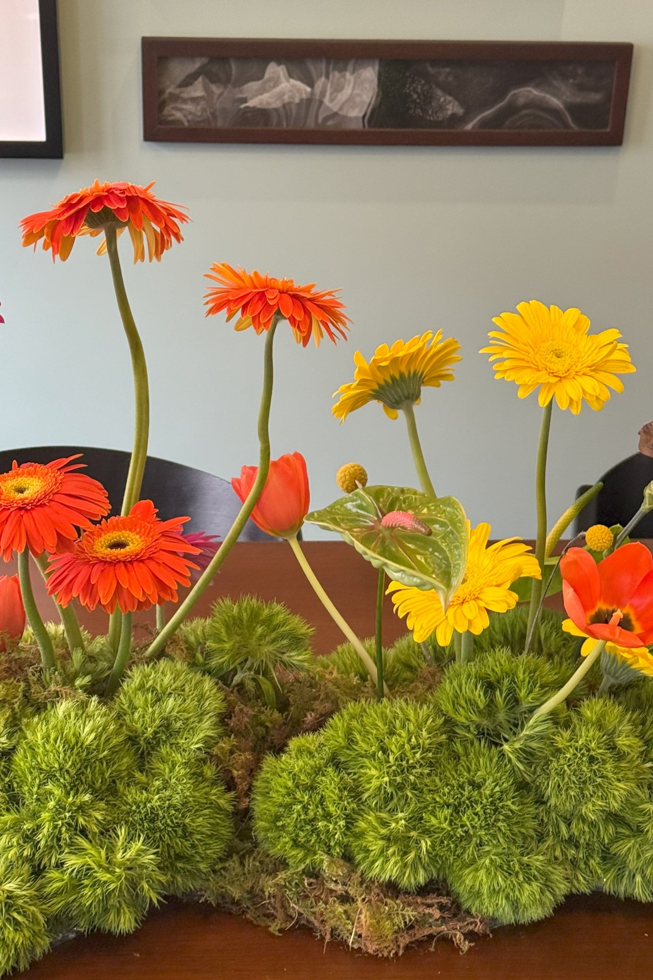 El jardín de gerberas