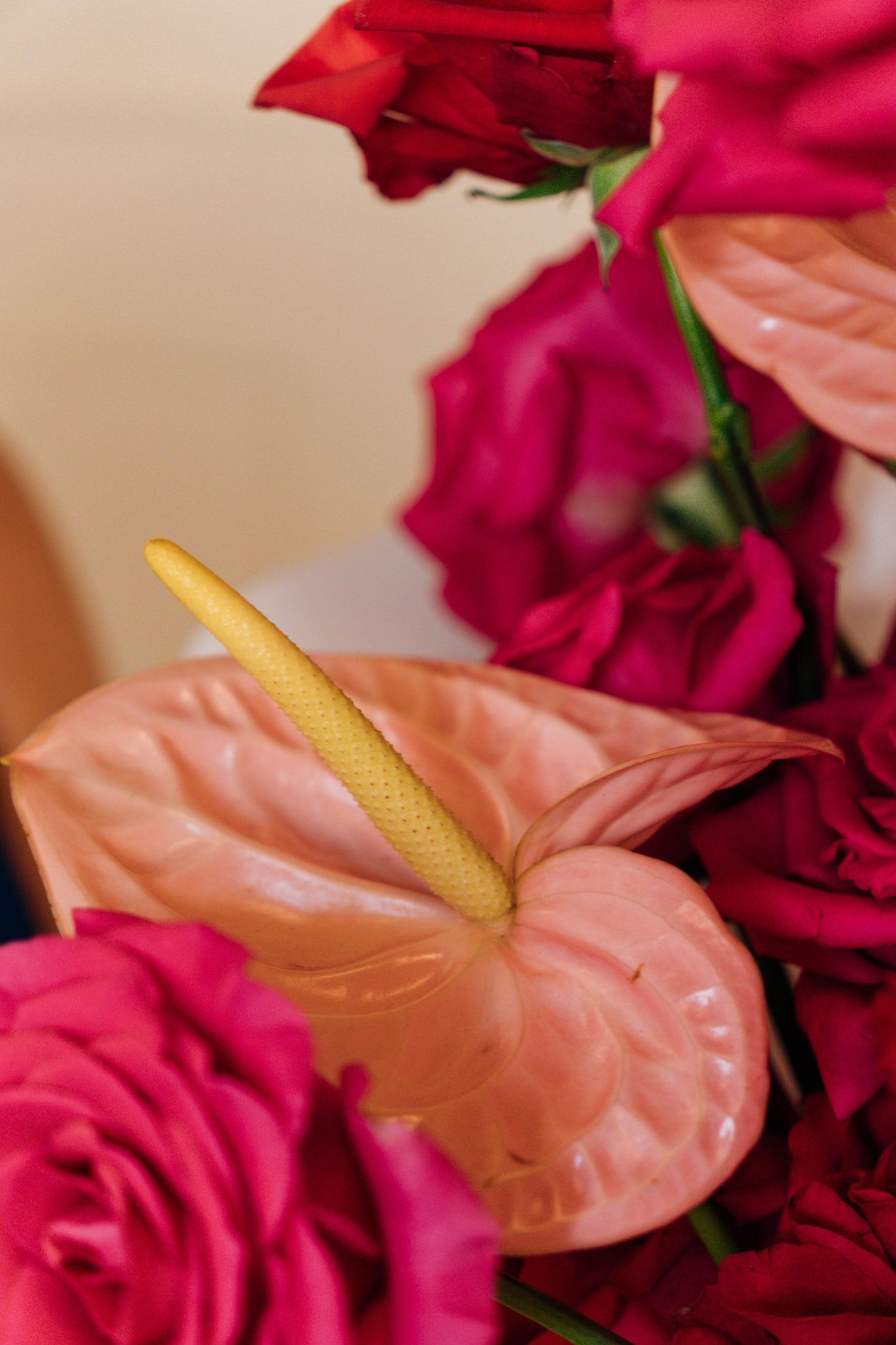 Modern Love - Medium (Sin orquídea)