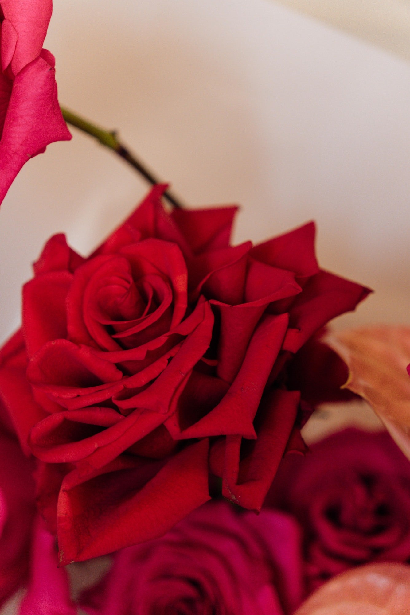 Modern Love - Medium (Sin orquídea)