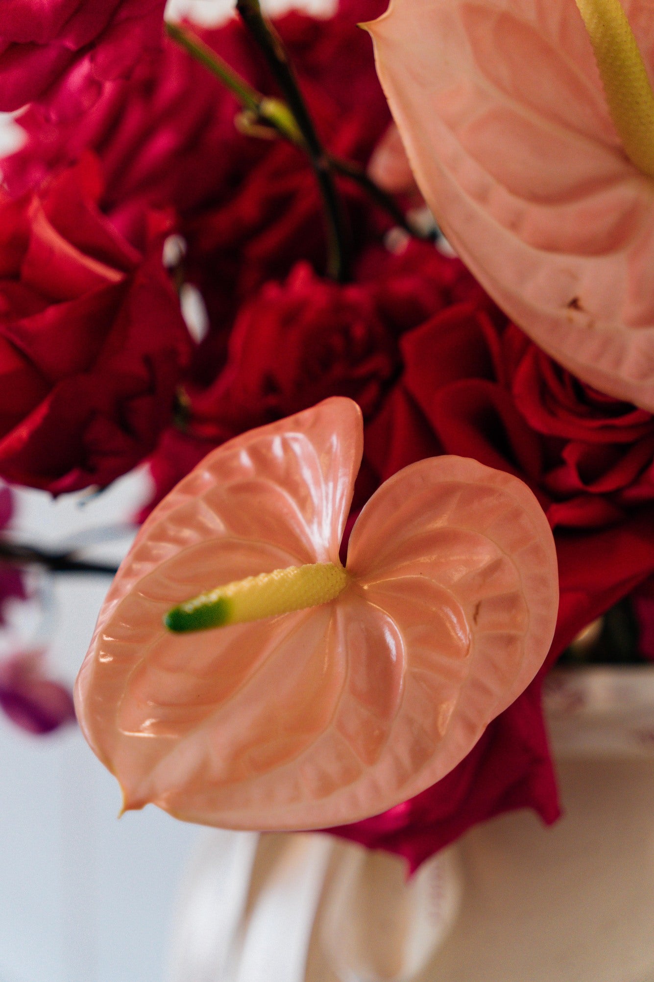 Modern Love - Medium (Sin orquídea)