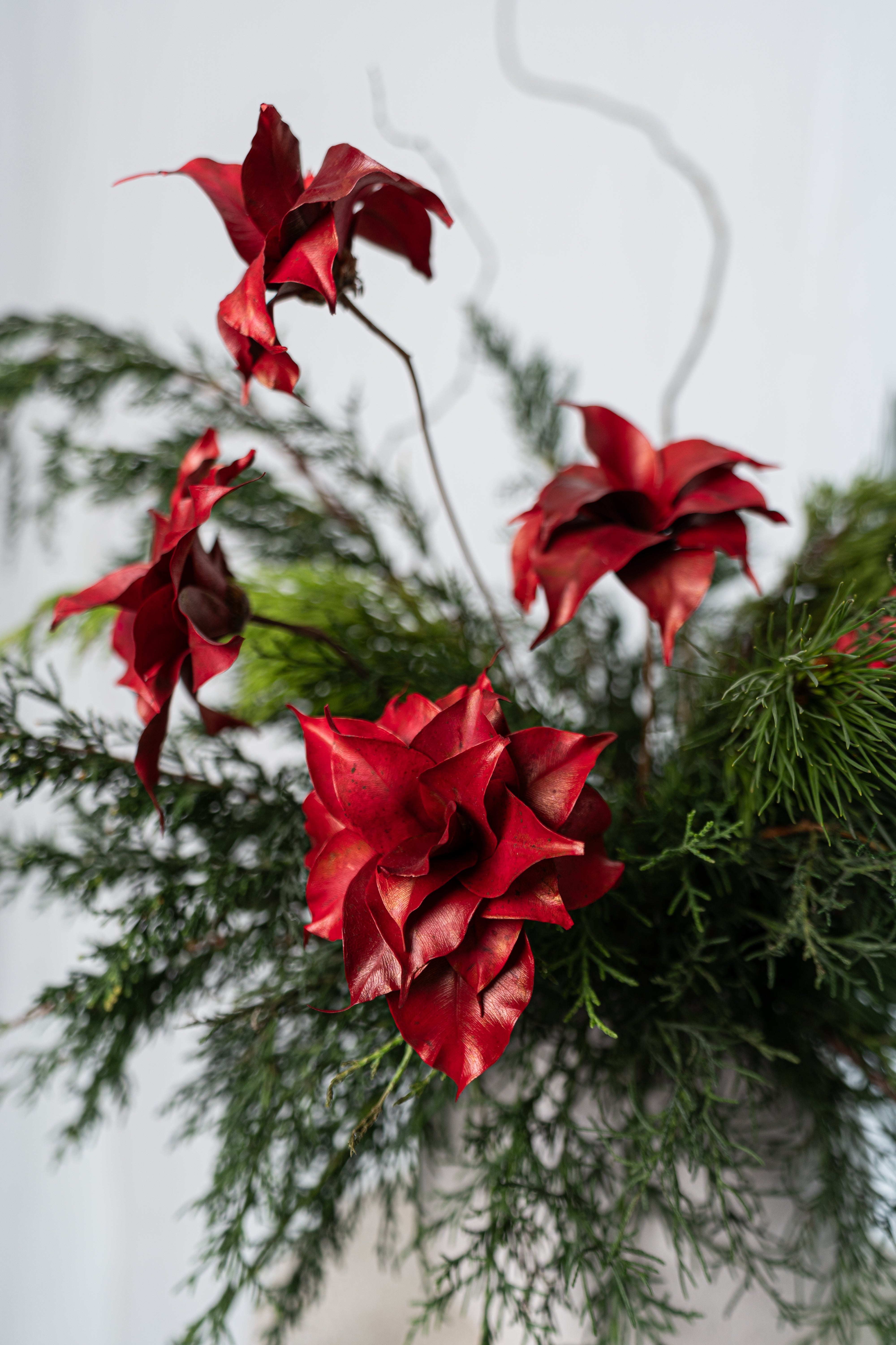 Arreglo navidad mágica