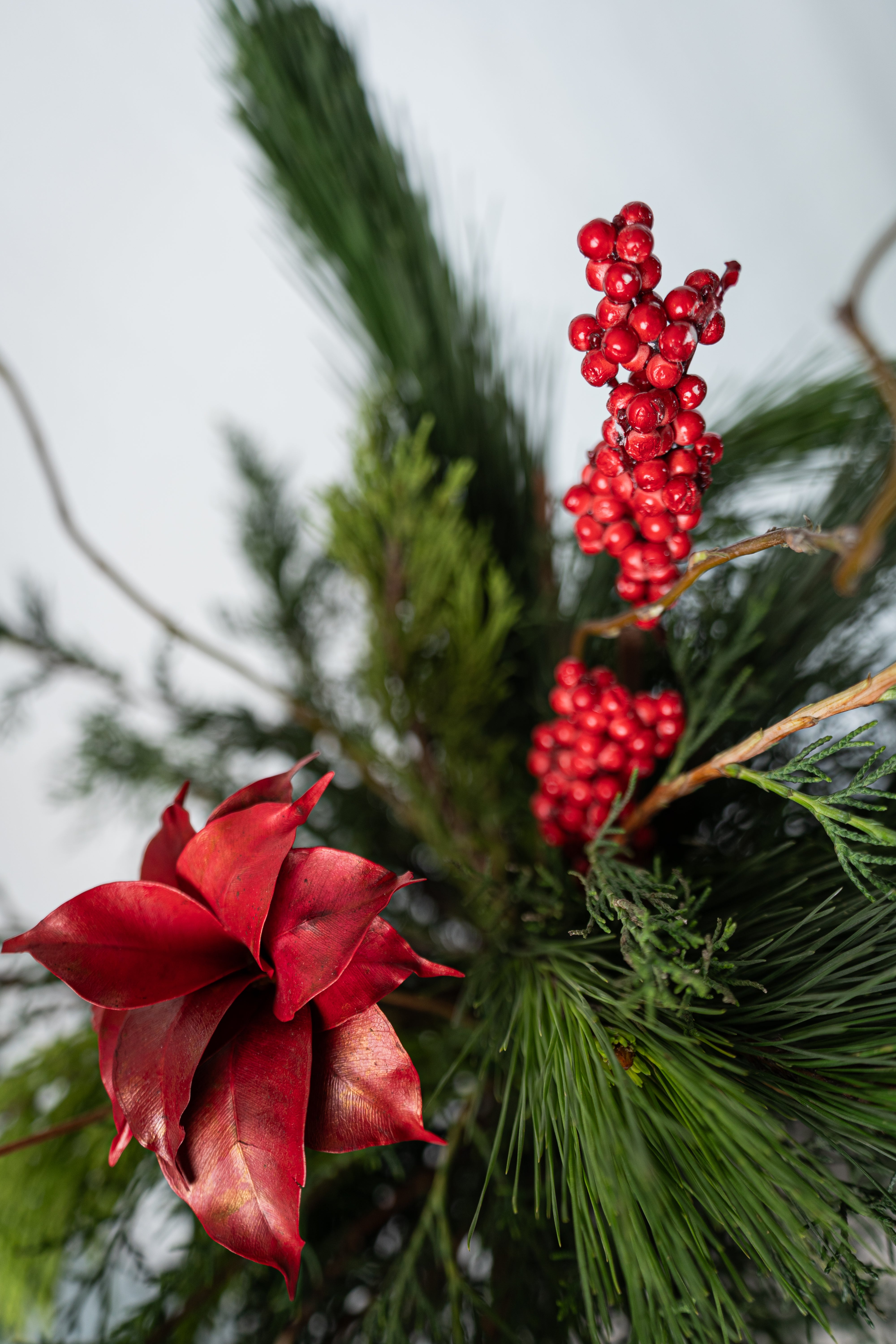 Arreglo navidad mágica