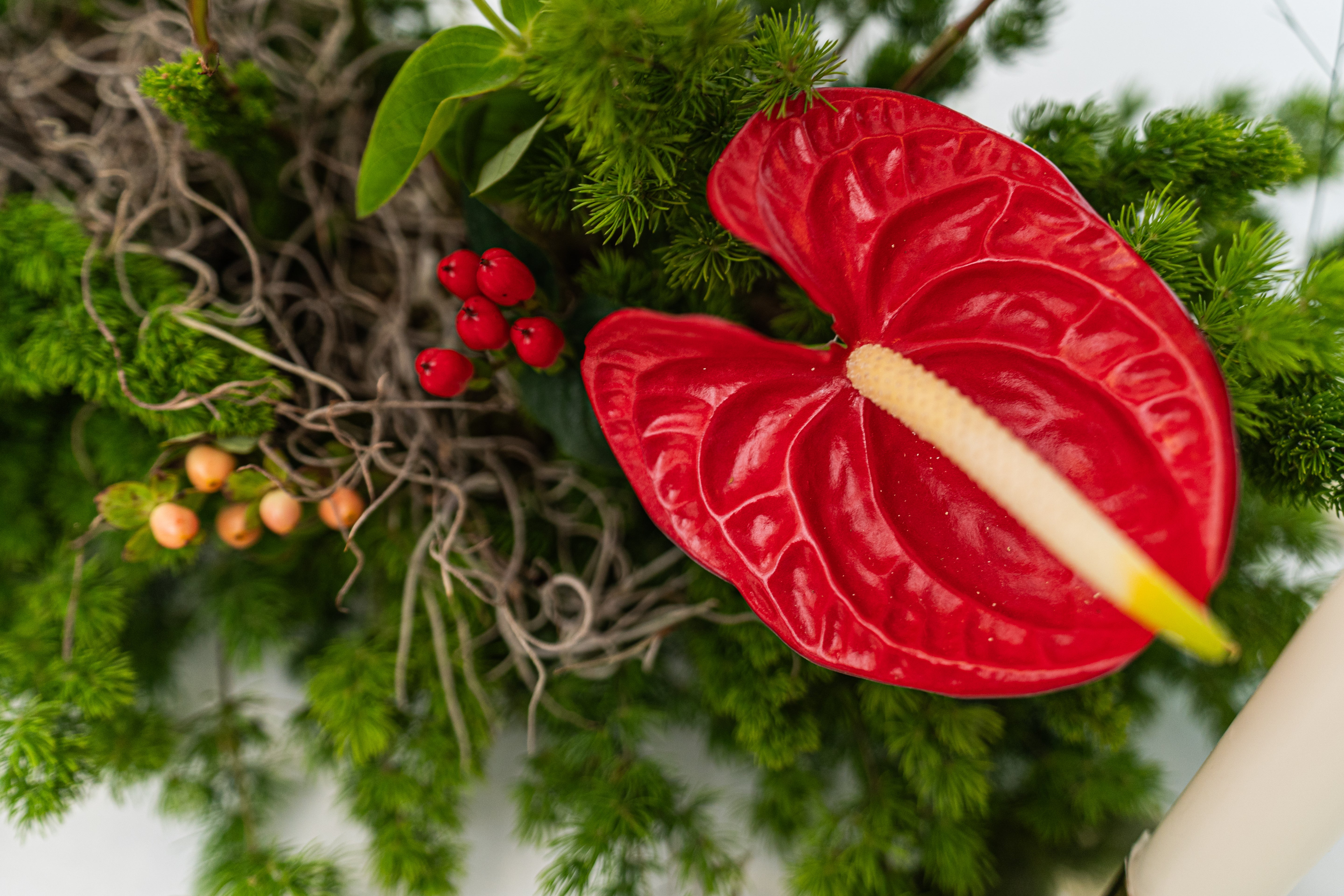 Arreglo Jardín de navidad - Medium