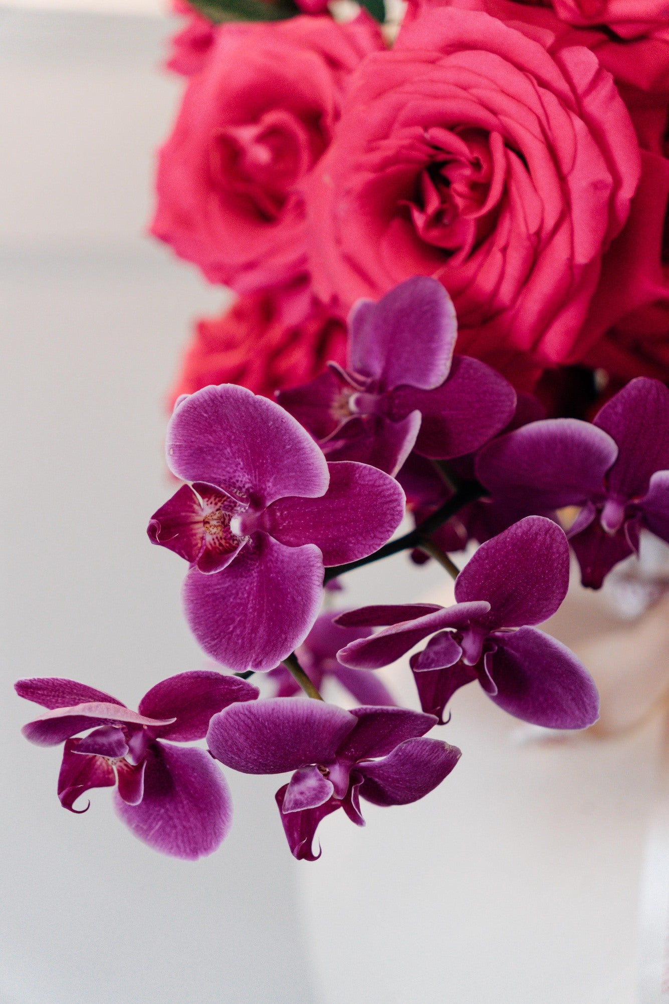 Modern Love - Medium