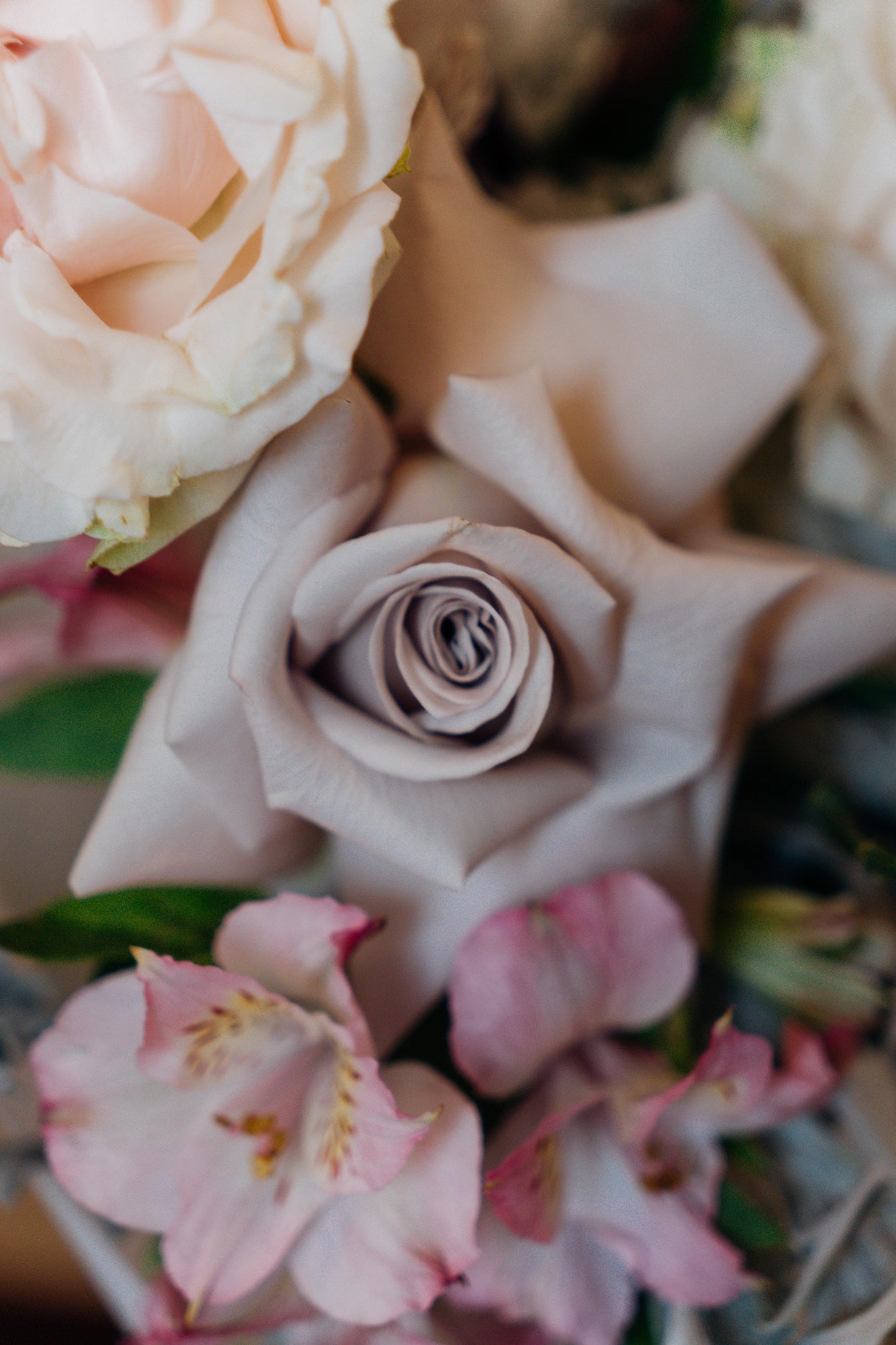 Soft Rosé - Medium