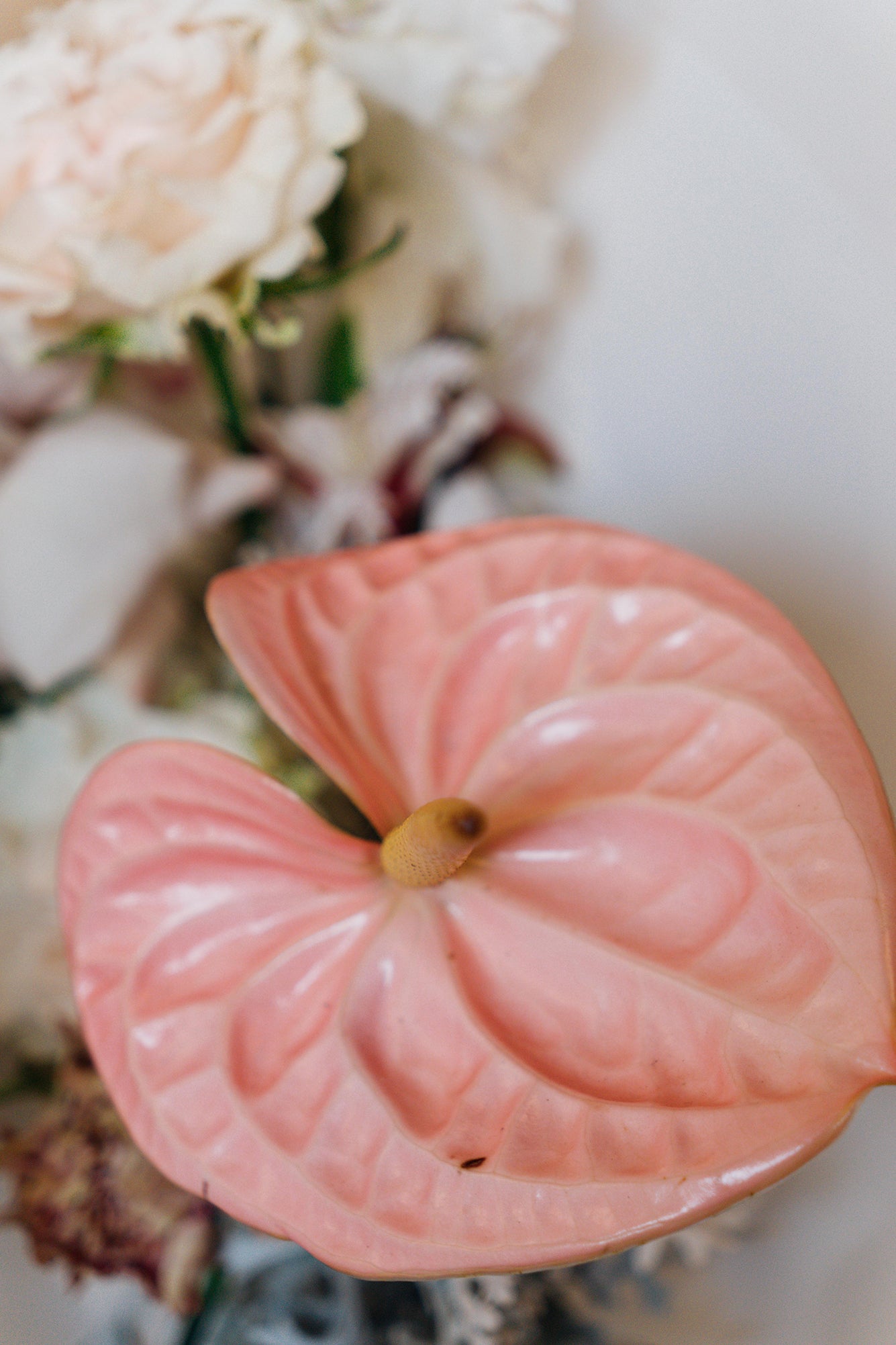 Soft Rosé - Small