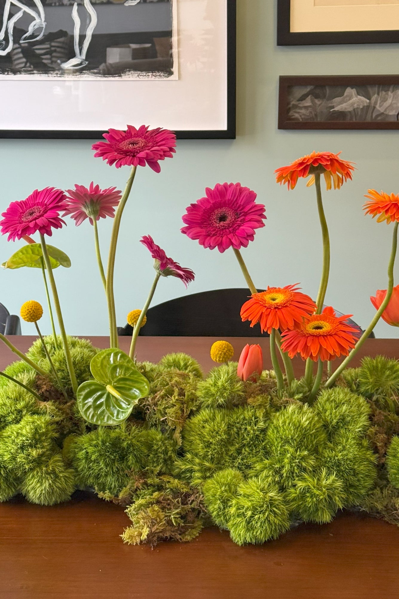 El jardín de gerberas