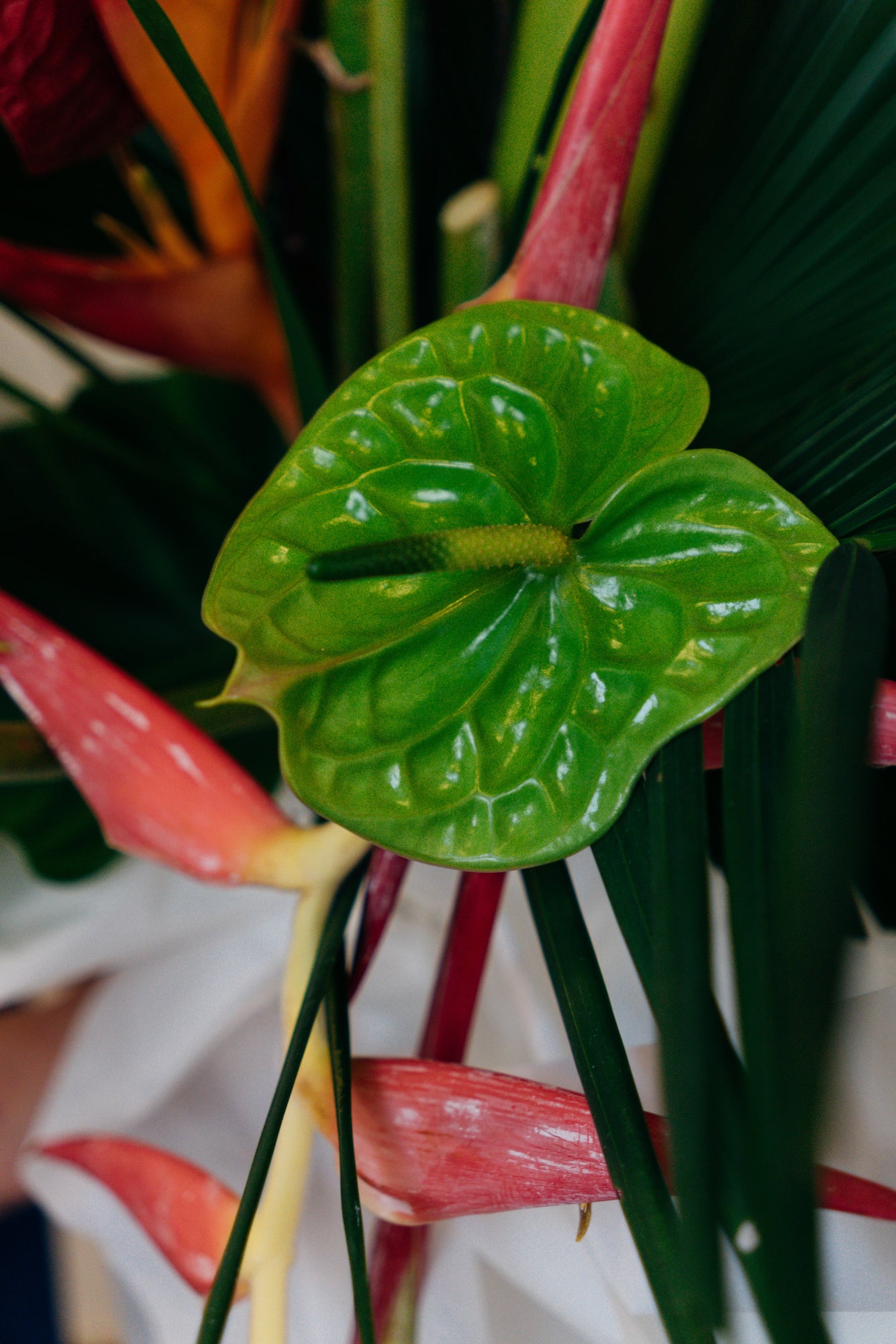 Exotic & Tropical - Small