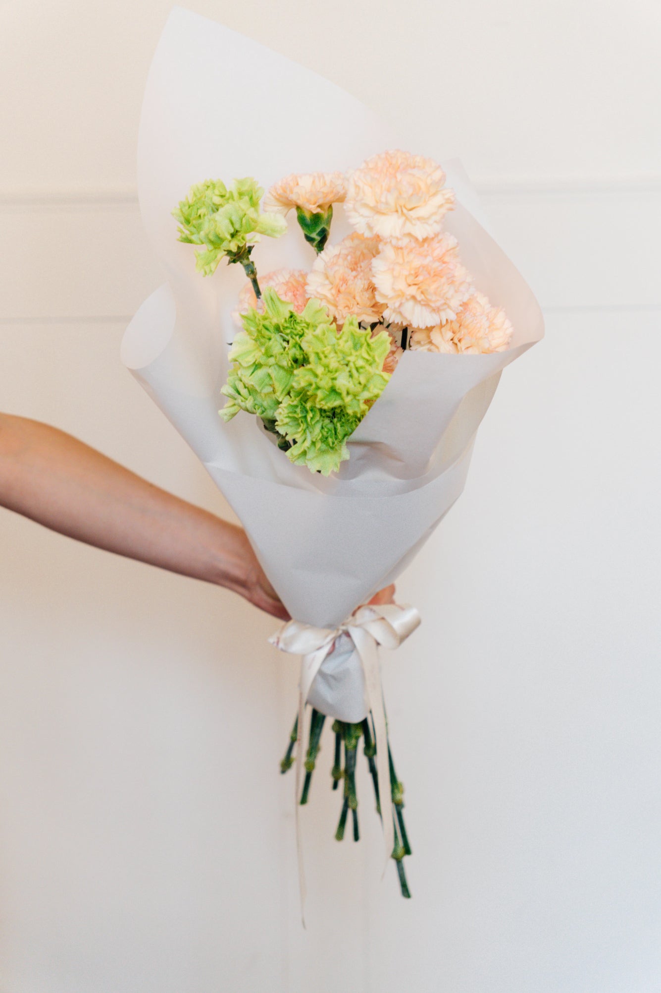 Claveles premium - Small (12 Tallos)